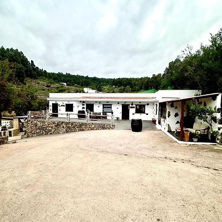 Finca Aurora Ecorural Icod De Los Vinos Ngoại thất bức ảnh