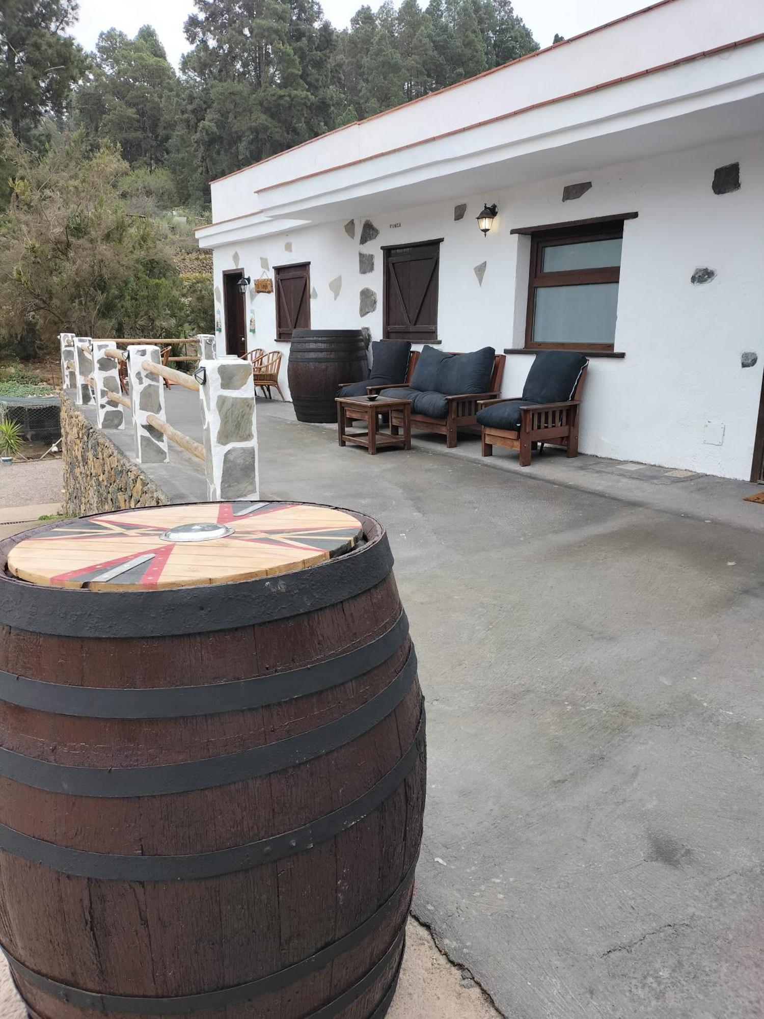 Finca Aurora Ecorural Icod De Los Vinos Ngoại thất bức ảnh