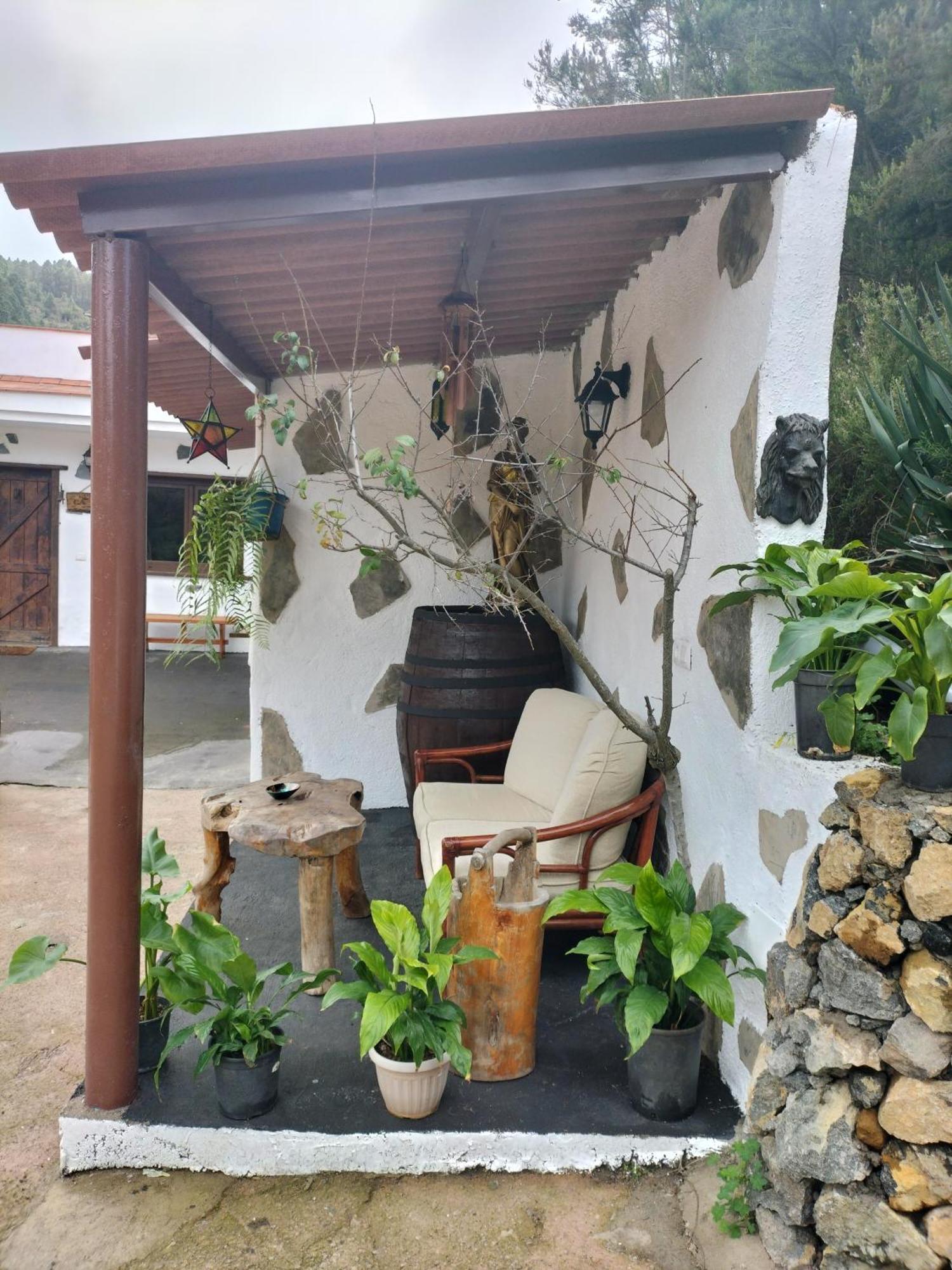 Finca Aurora Ecorural Icod De Los Vinos Ngoại thất bức ảnh